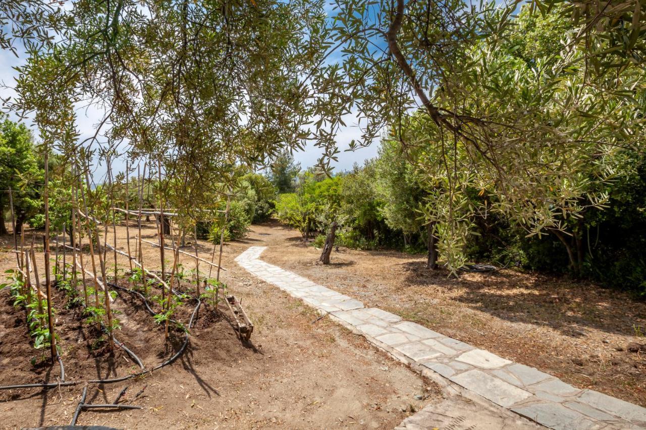 Hidden Gem Sithonia Villa Metochi Agias Kiriakis Exterior photo
