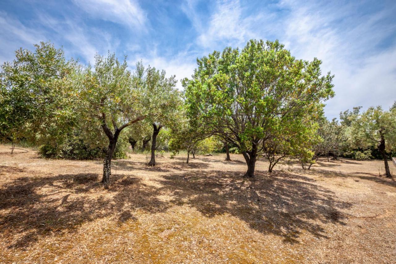 Hidden Gem Sithonia Villa Metochi Agias Kiriakis Exterior photo