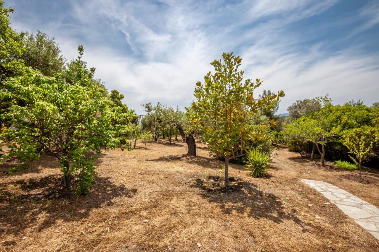 Hidden Gem Sithonia Villa Metochi Agias Kiriakis Exterior photo